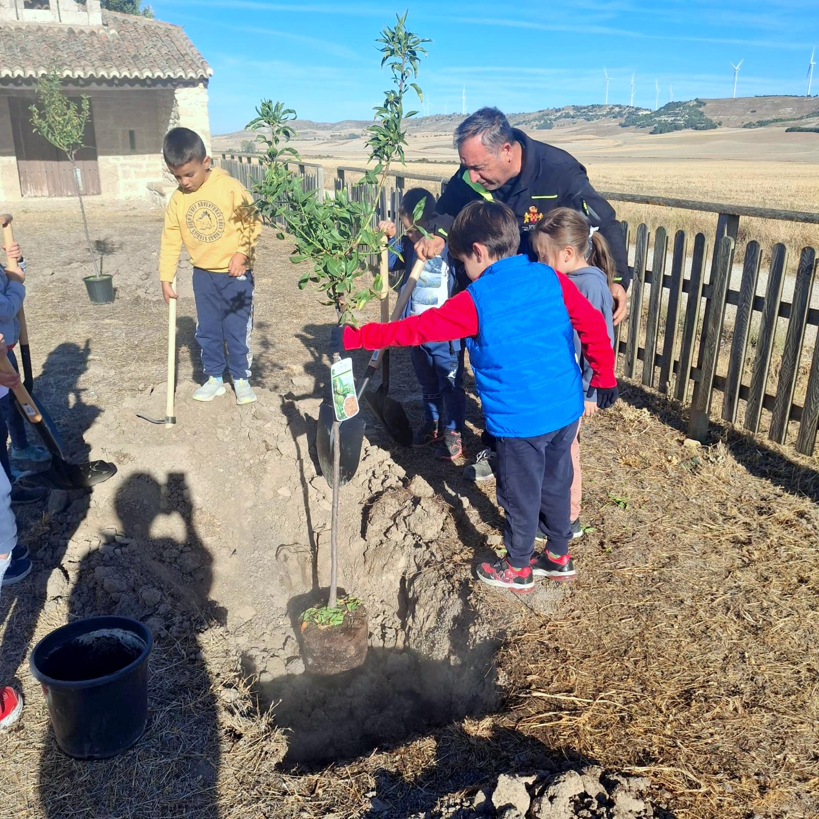 Plantación de Árboles en Baltanás