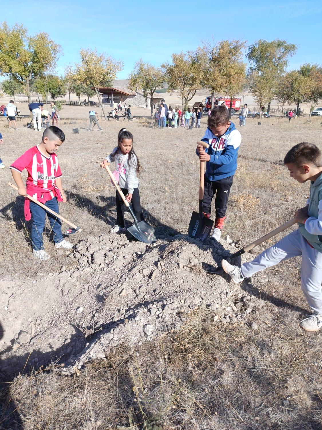 Plantación de Árboles en Baltanás
