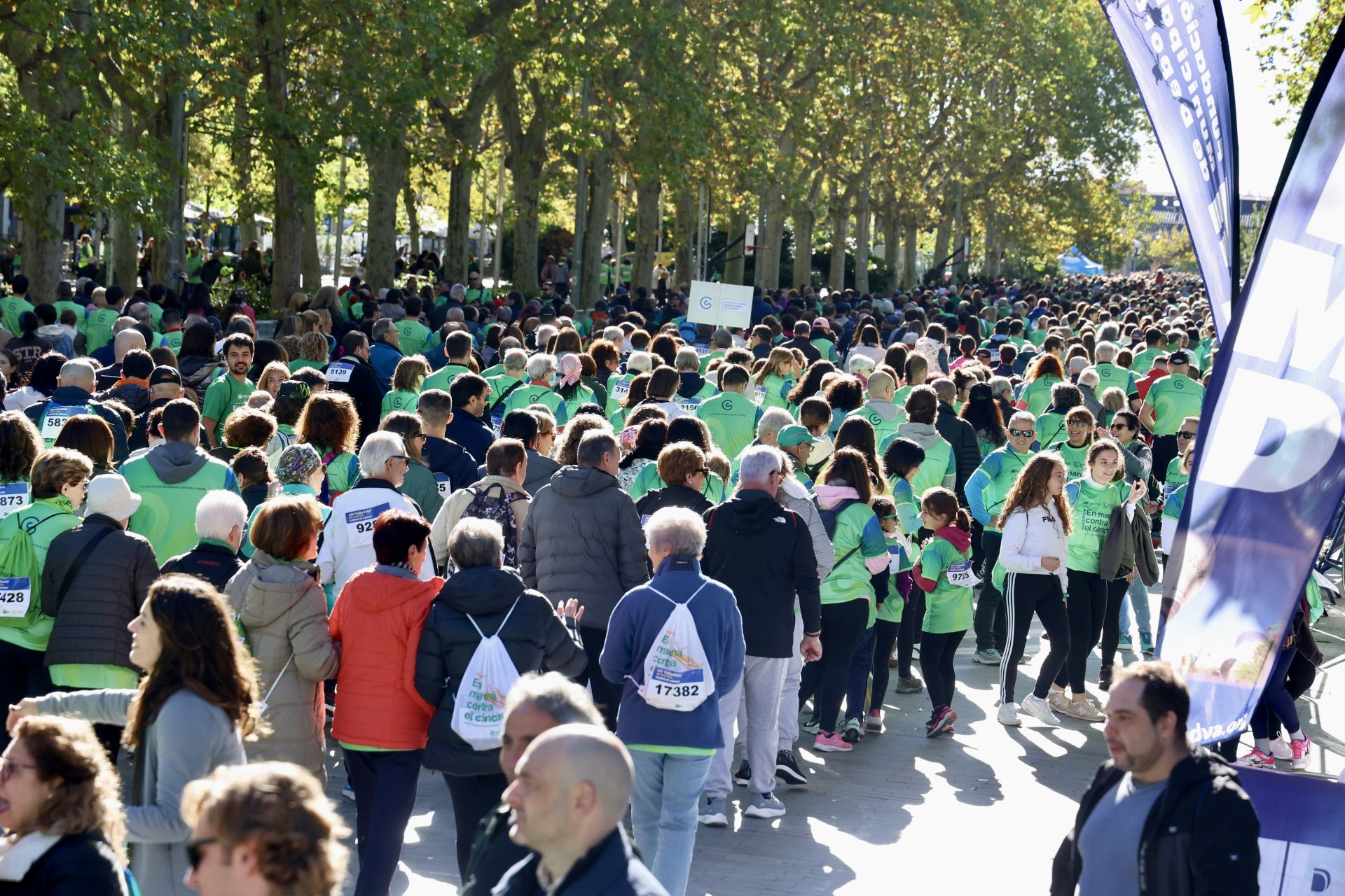 Las imágenes de la Marcha contra el Cáncer 2025