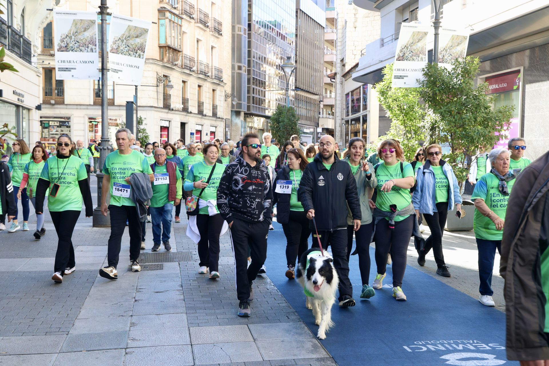 Las imágenes de la Marcha contra el Cáncer 2025