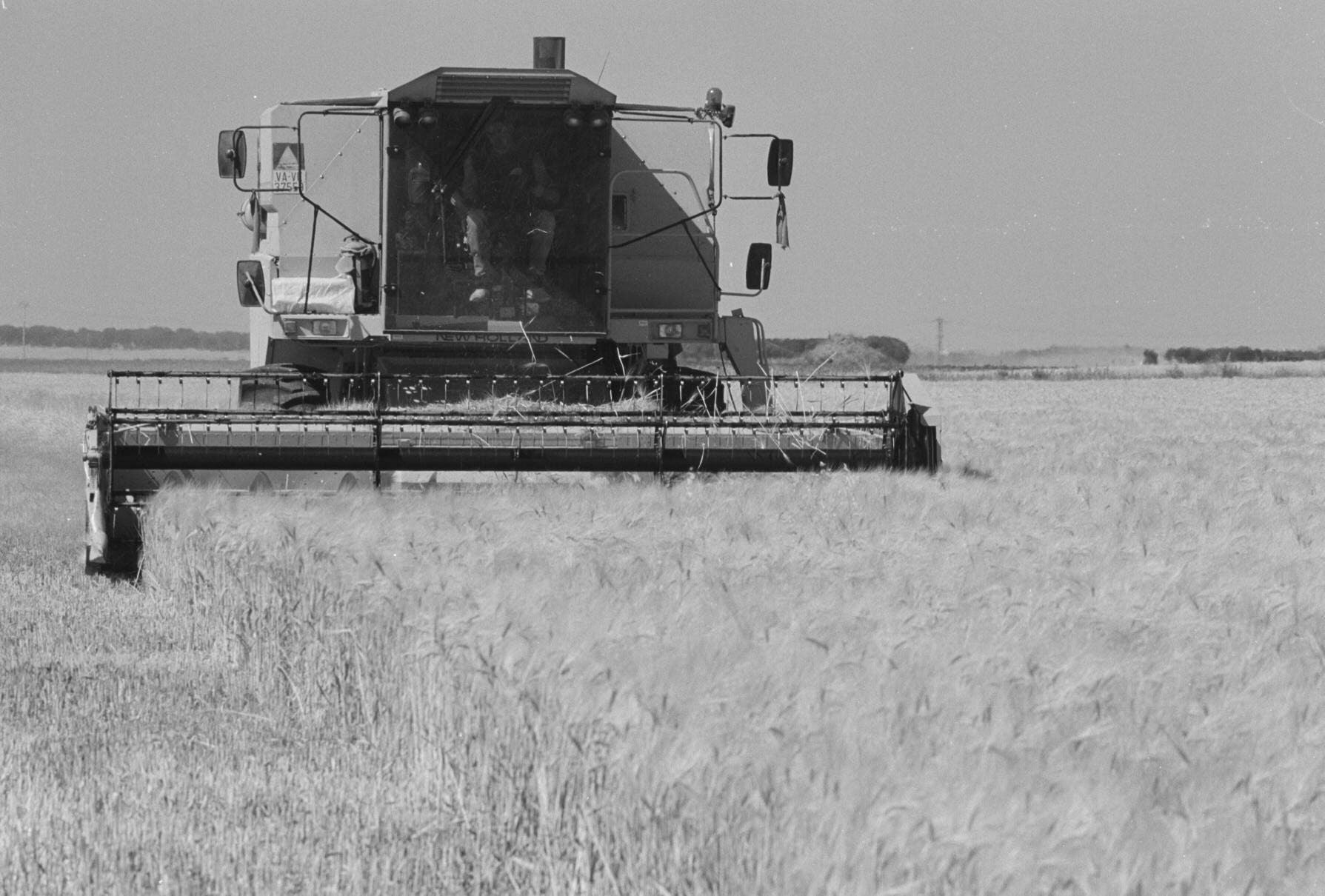 Una cosechadora trabaja en un campo de Carpio en junio de 2001.