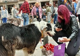 Uno de los perros participantes en el concurso de este sábado, junto a su dueña con la bolsa de obsequios.