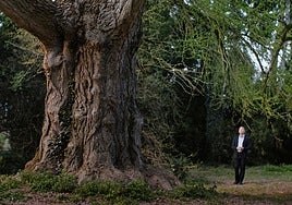 Fotograma de la película alemana 'Silent friend'.