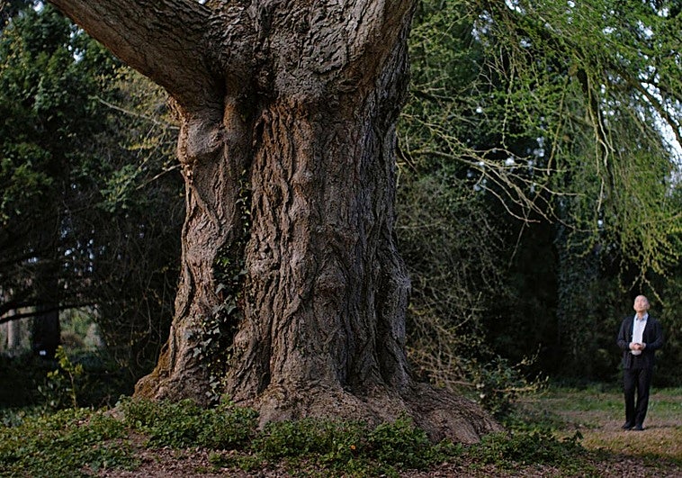 Fotograma de la película alemana 'Silent friend'.
