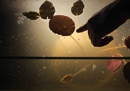 Un fotograma del filme de Candela Sotos.