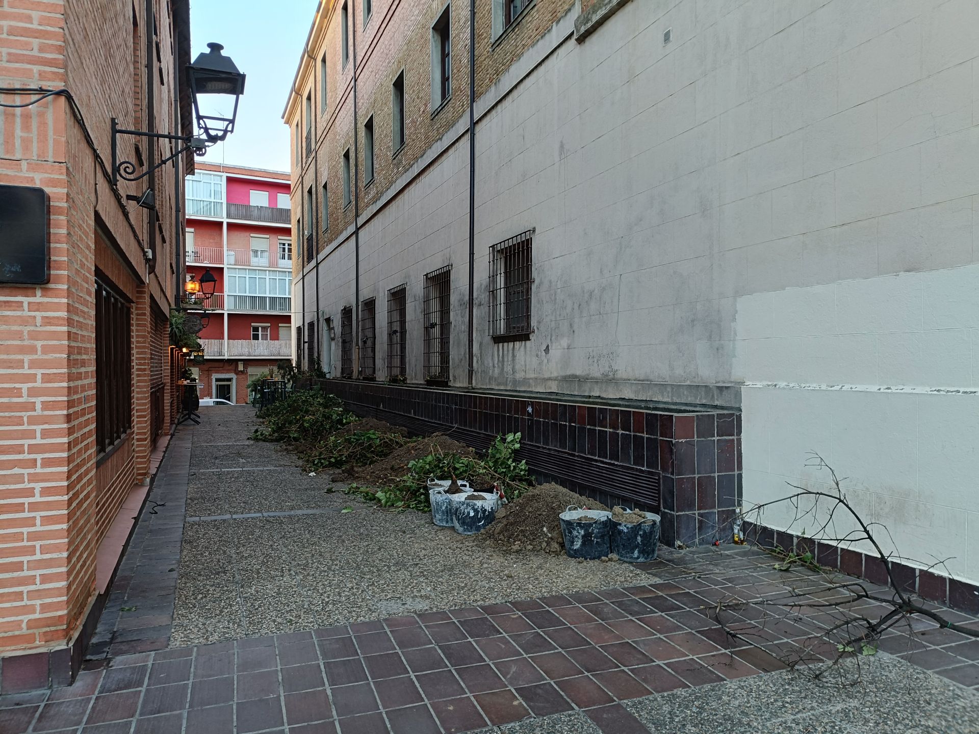 Desaparece el pulmón verde del lateral del Seminario