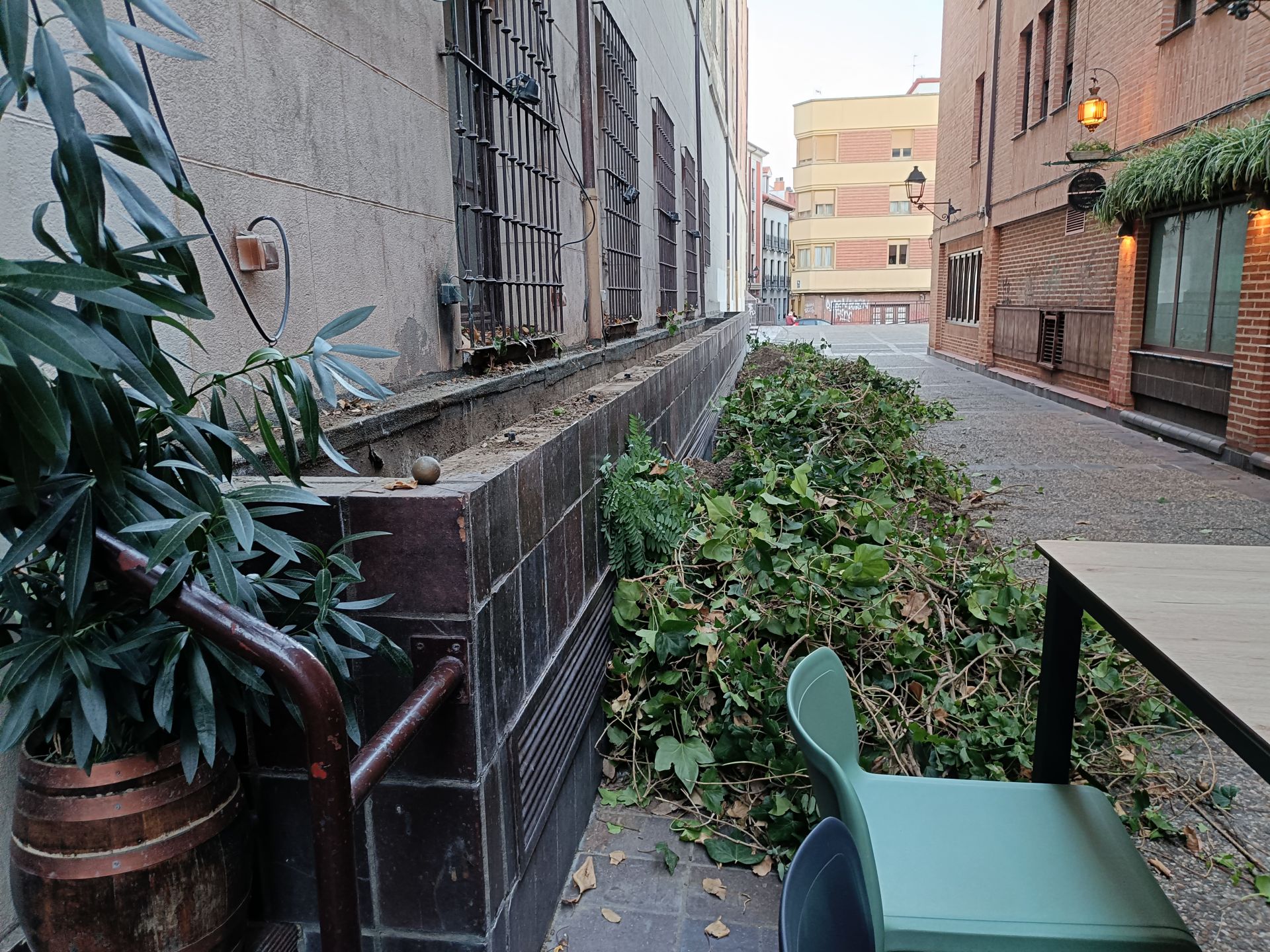 Desaparece el pulmón verde del lateral del Seminario