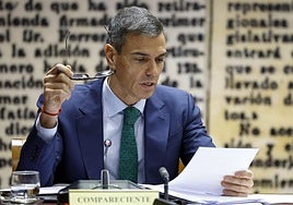 El presidente del Gobierno, Pedro Sánchez, durante su comparecencia en el Senado