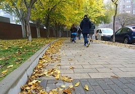 Hojas caídas en la calle Eusebio González Suárez de Parquesol con la niebla con la que se despertó ayer Valladolid.