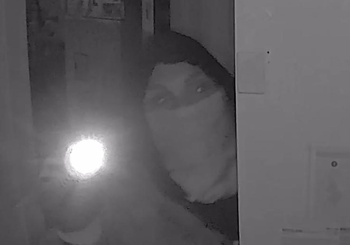 Una asaltante captada por las cámaras de videovigilancia el martes en el centro veterinario de Boecillo.