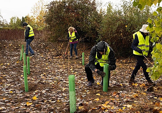 Varios voluntarios durante el taller de plantación de especies aromáticas, este sábado en el Canal de Castilla.