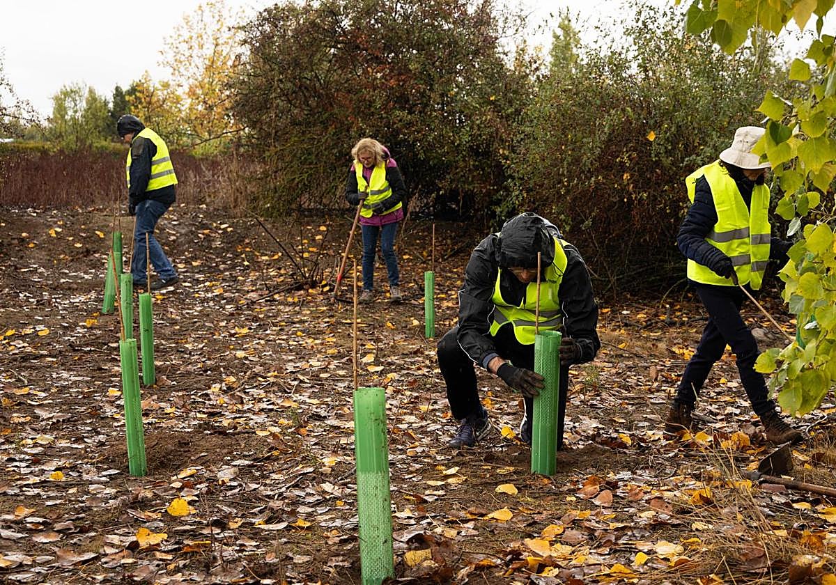 Varios voluntarios durante el taller de plantación de especies aromáticas, este sábado en el Canal de Castilla.