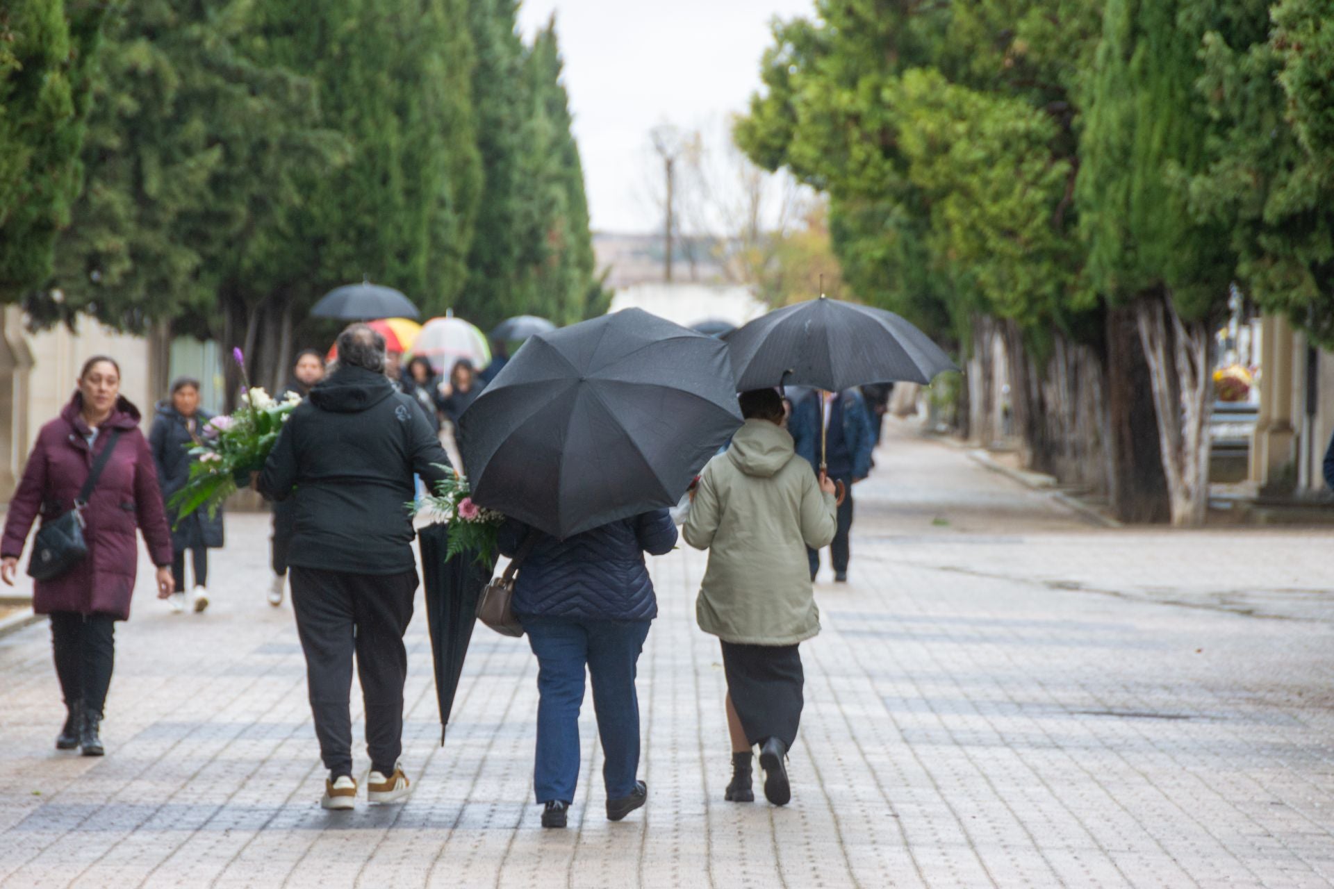 Día de Todos los Santos en Palencia