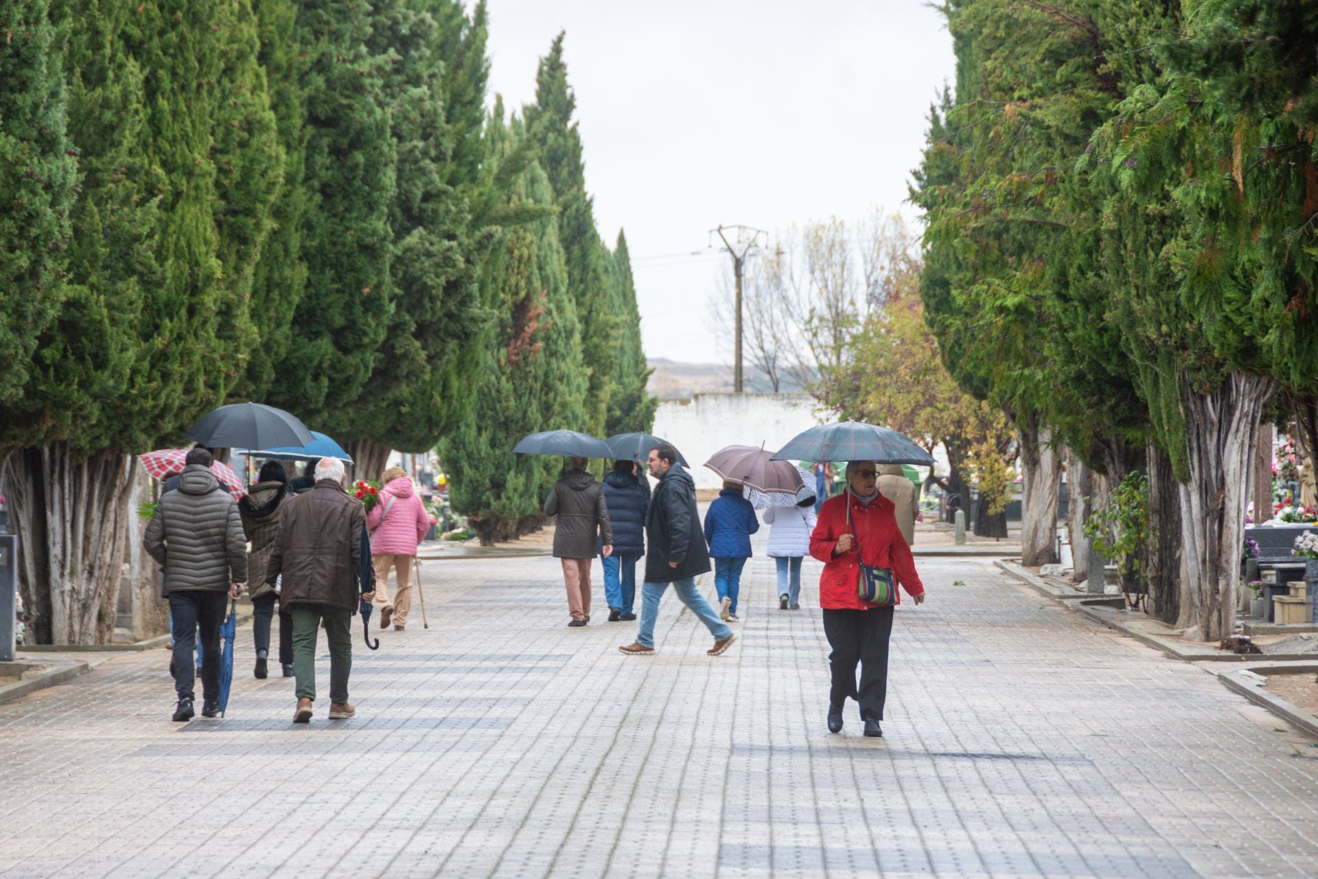 Día de Todos los Santos en Palencia