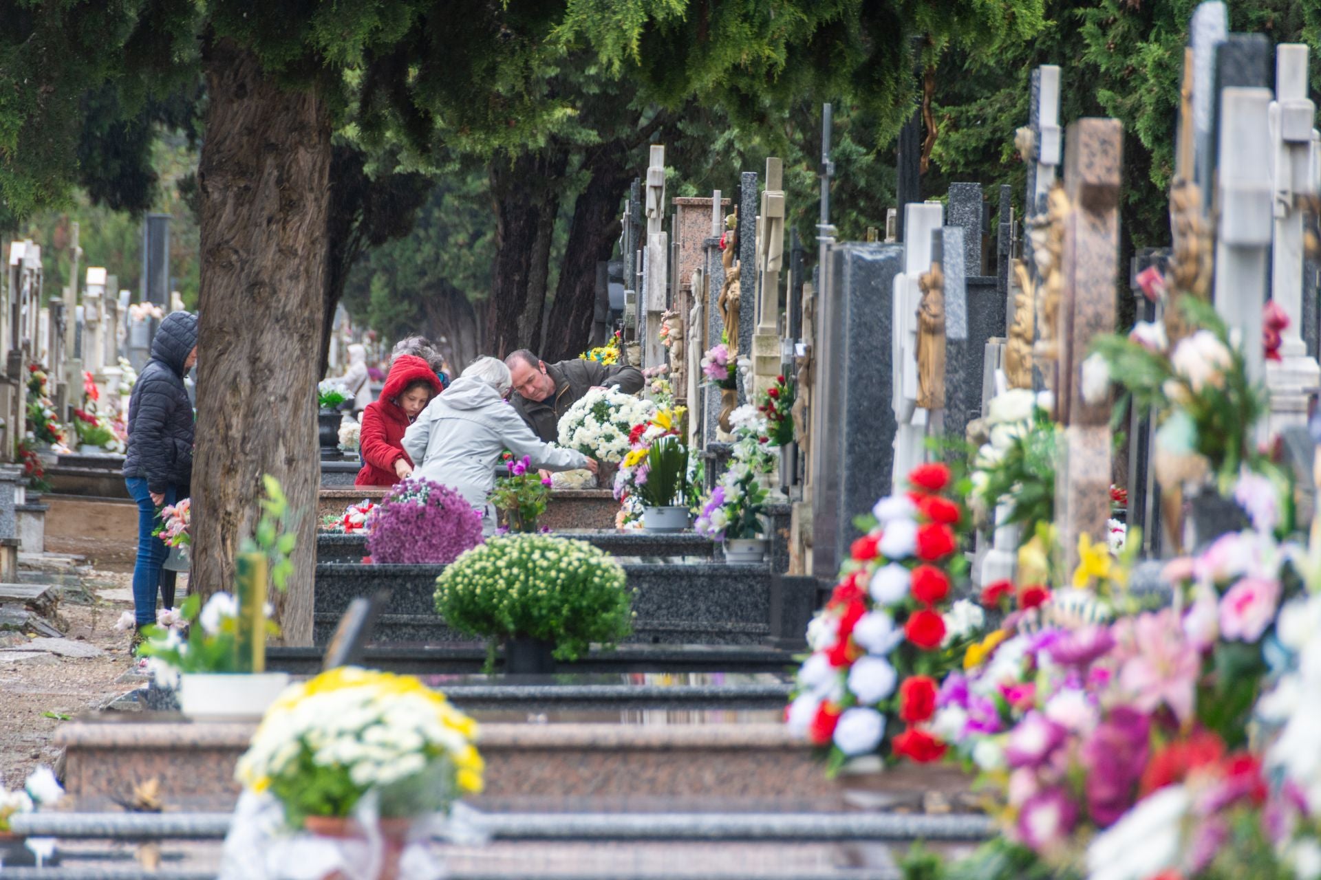 Día de Todos los Santos en Palencia