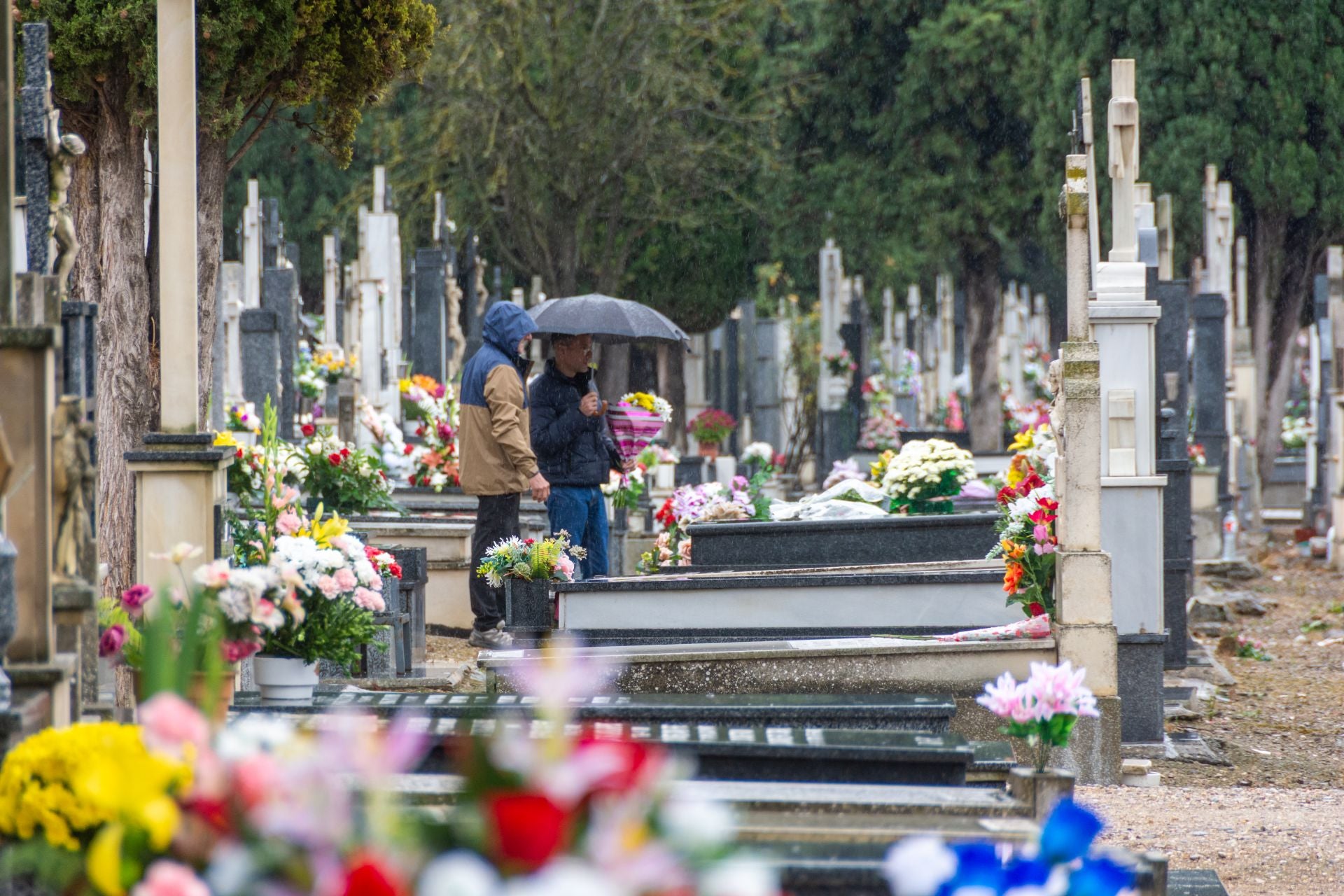 Día de Todos los Santos en Palencia