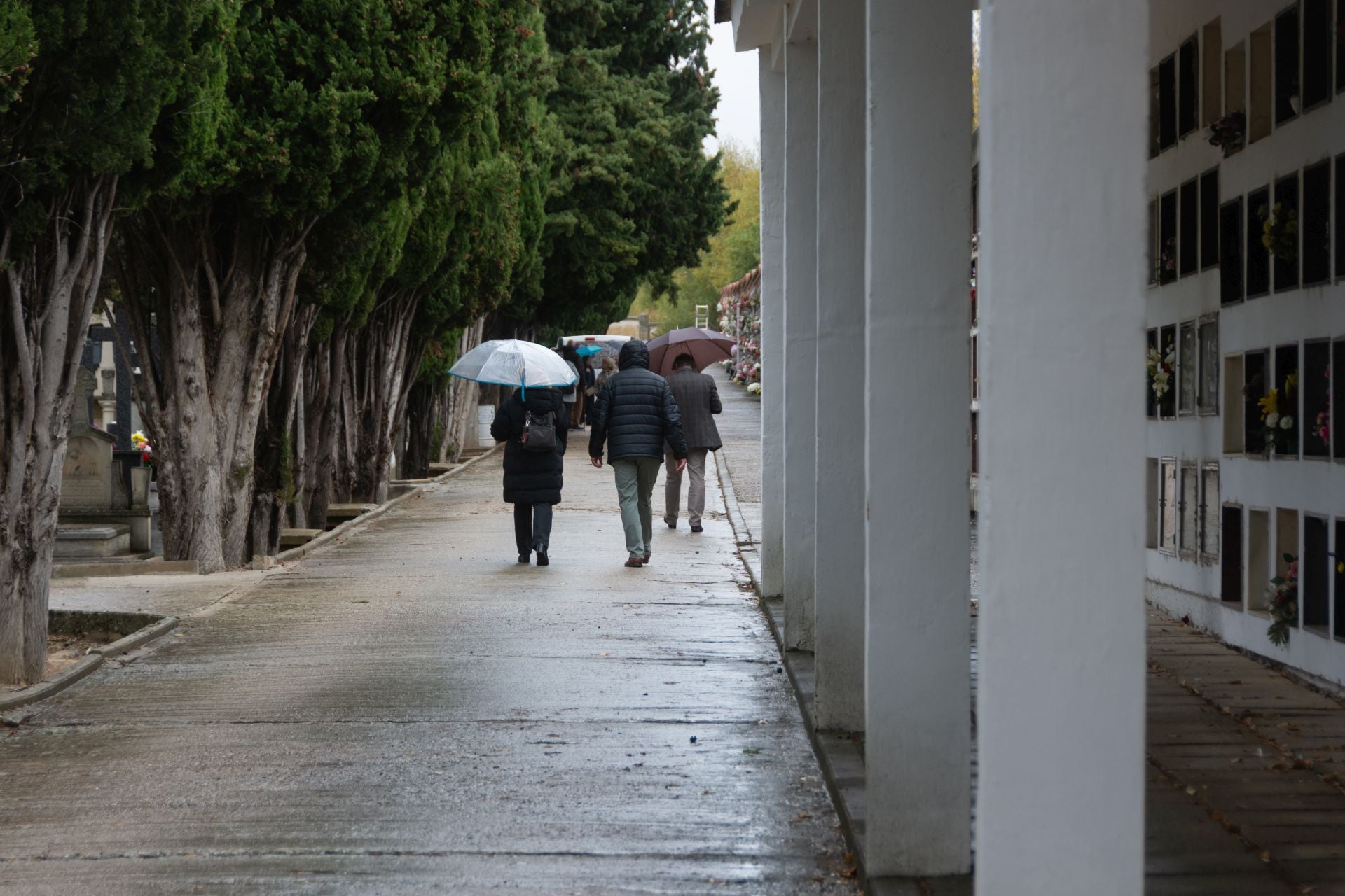 Día de Todos los Santos en Palencia