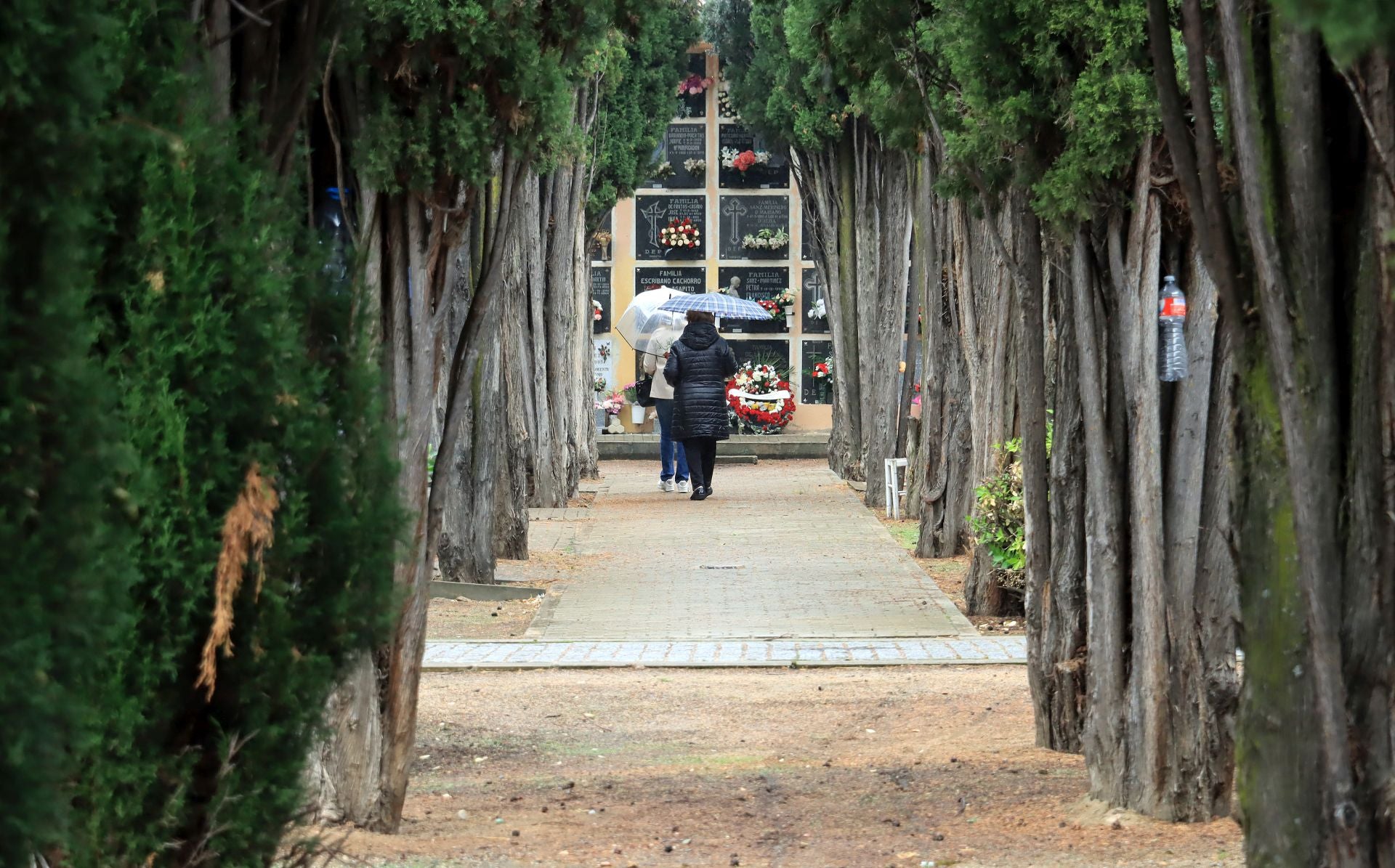 Fotografías de la festividad de Todos los Santos en Segovia