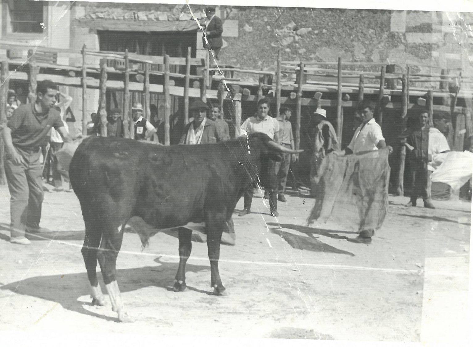 Imagen antigua de la Plaza de Toros de Montemayor.
