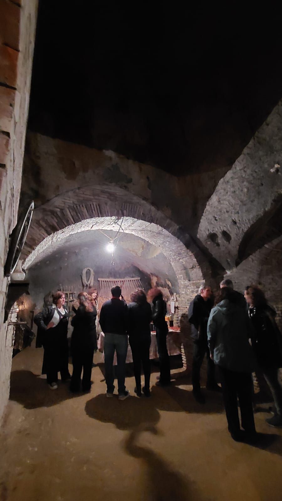 Las imágenes de la jornada a puertas abiertas en la bodega de Villalón de Campos