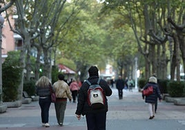 Viandantes por el Paseo de Zorrilla, este lunes por la tarde.