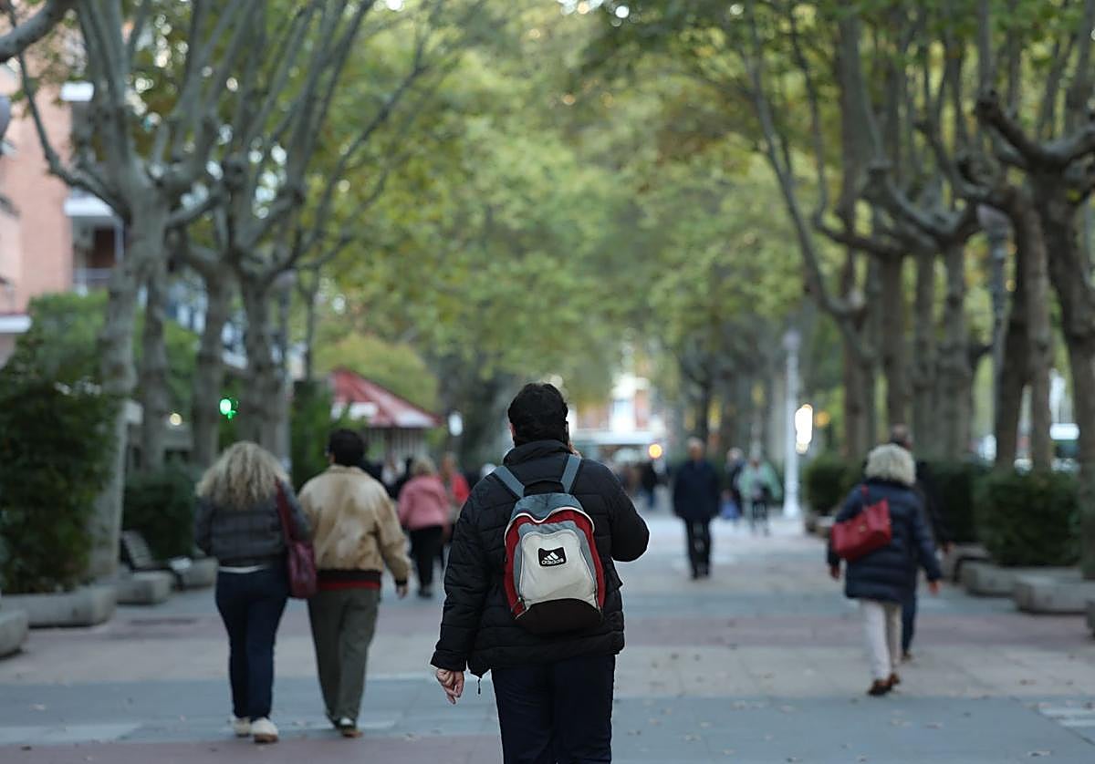 Viandantes por el Paseo de Zorrilla, este lunes por la tarde.