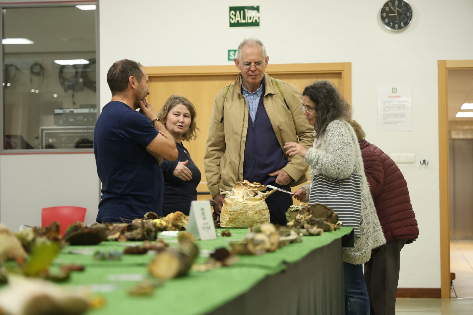 Las fotos de la muestra de setas y hongos de la Asociación Vallisoletana de Micología