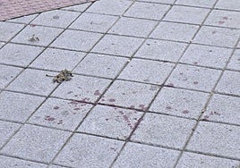 Restos de sangre de la pelea en La Cistérniga el 11 de enero de 2024.