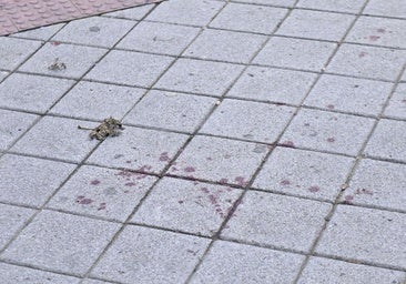 La Fiscalía pide tres años de prisión por pinchar a un hombre en el culo en La Cistérniga