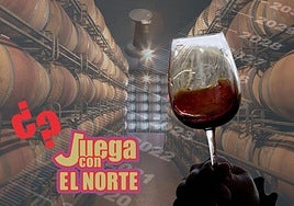 Taninos, majuelos, barricas... demuestra si eres un experto en vino