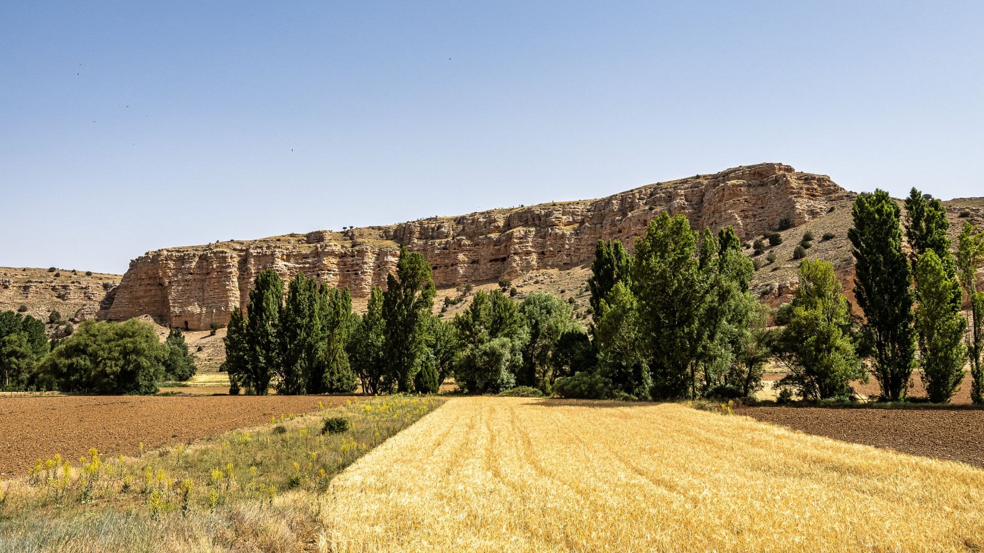 Hoces del río Riaza.