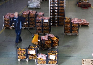 El Banco de Alimentos encara un fin de semana crucial: «Necesitamos ayuda, cada vez hace más falta»