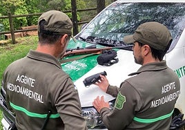 Dos agentes medioambientales, en una imagen de archivo.