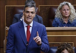 El presidente del Gobierno, Pedro Sánchez, interviene durante una sesión de control al Gobierno, en el Congreso.