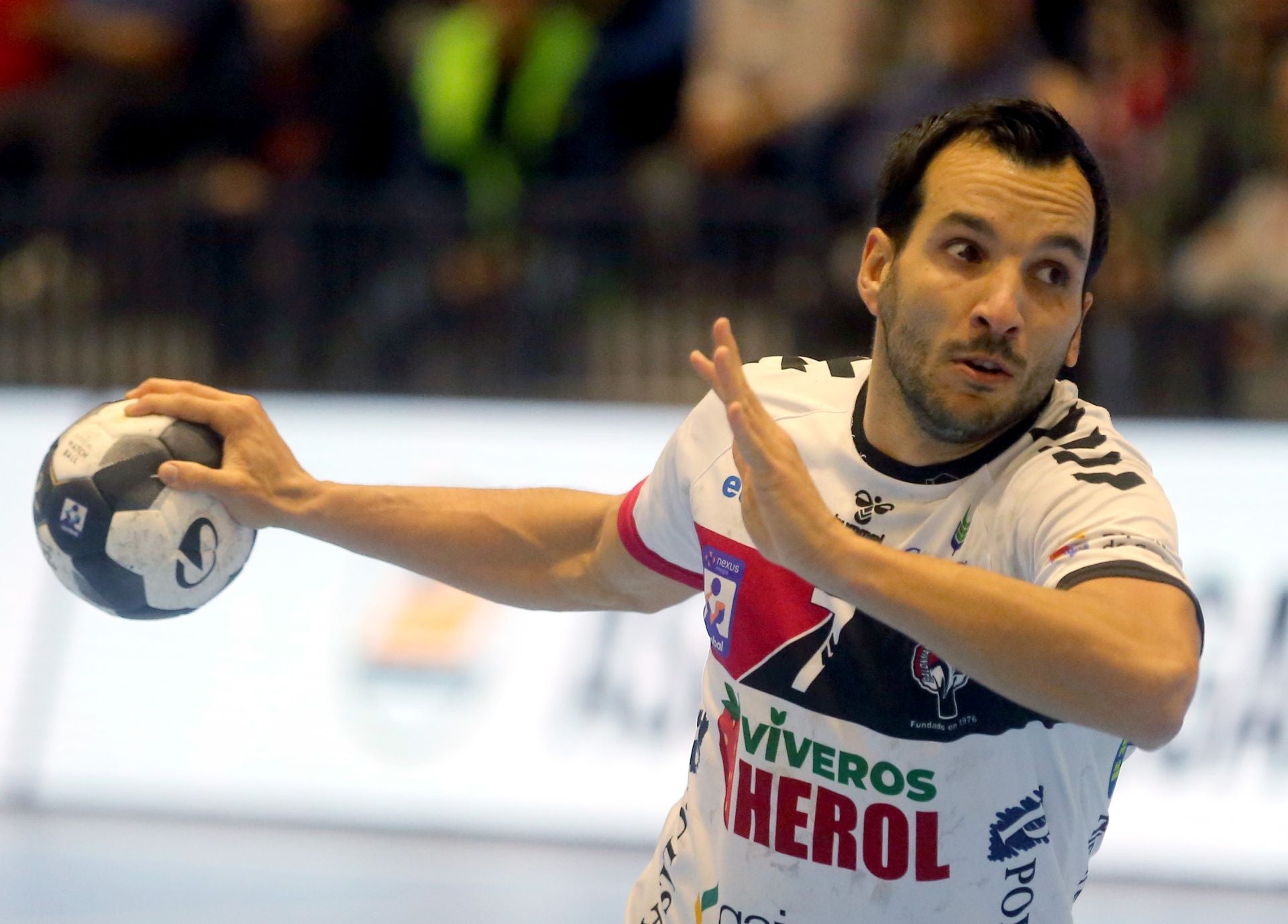 Fotos de la victoria del Balonmano Nava