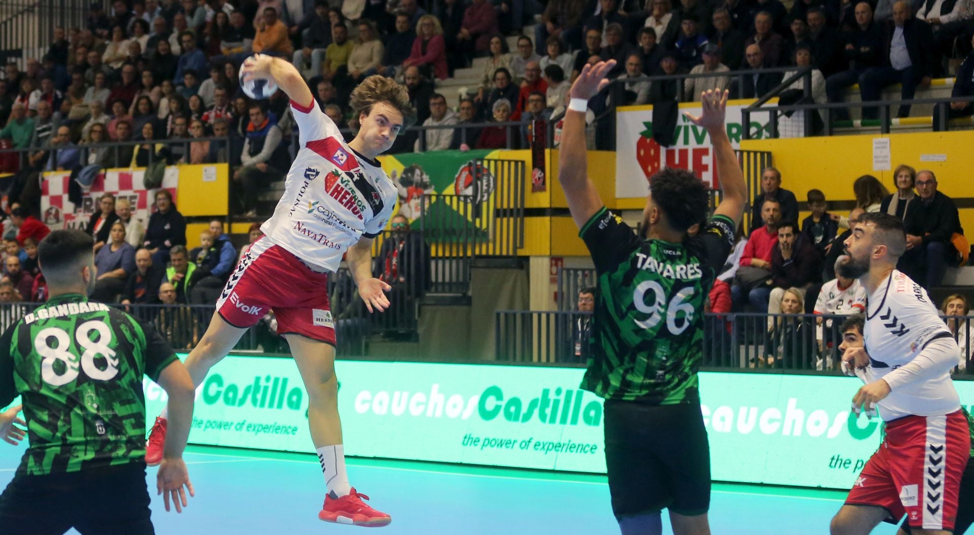 Fotos de la victoria del Balonmano Nava