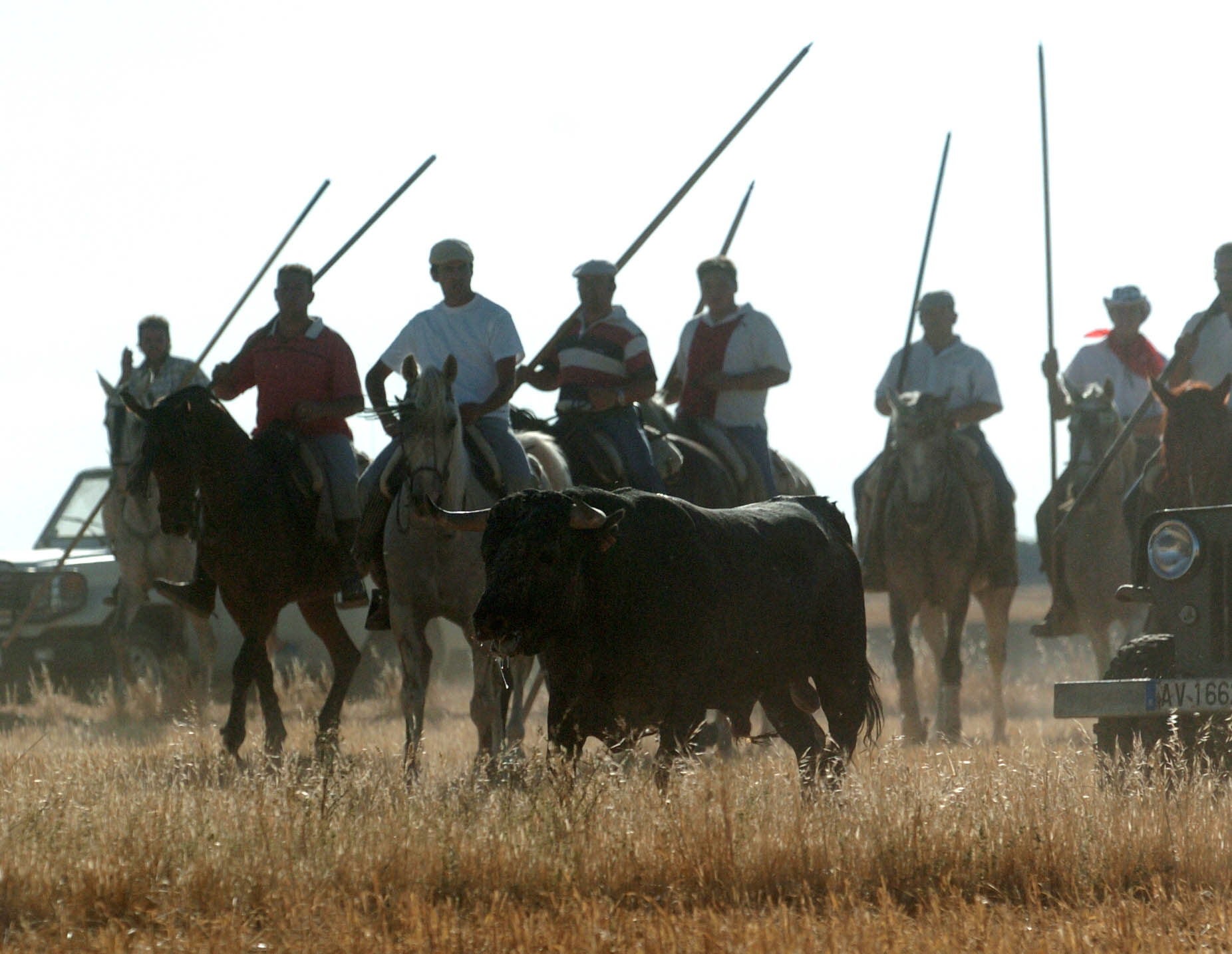 Un momento del encierro campero de las fiestas de Fresno el Viejo. 29 de agosto de 2005.