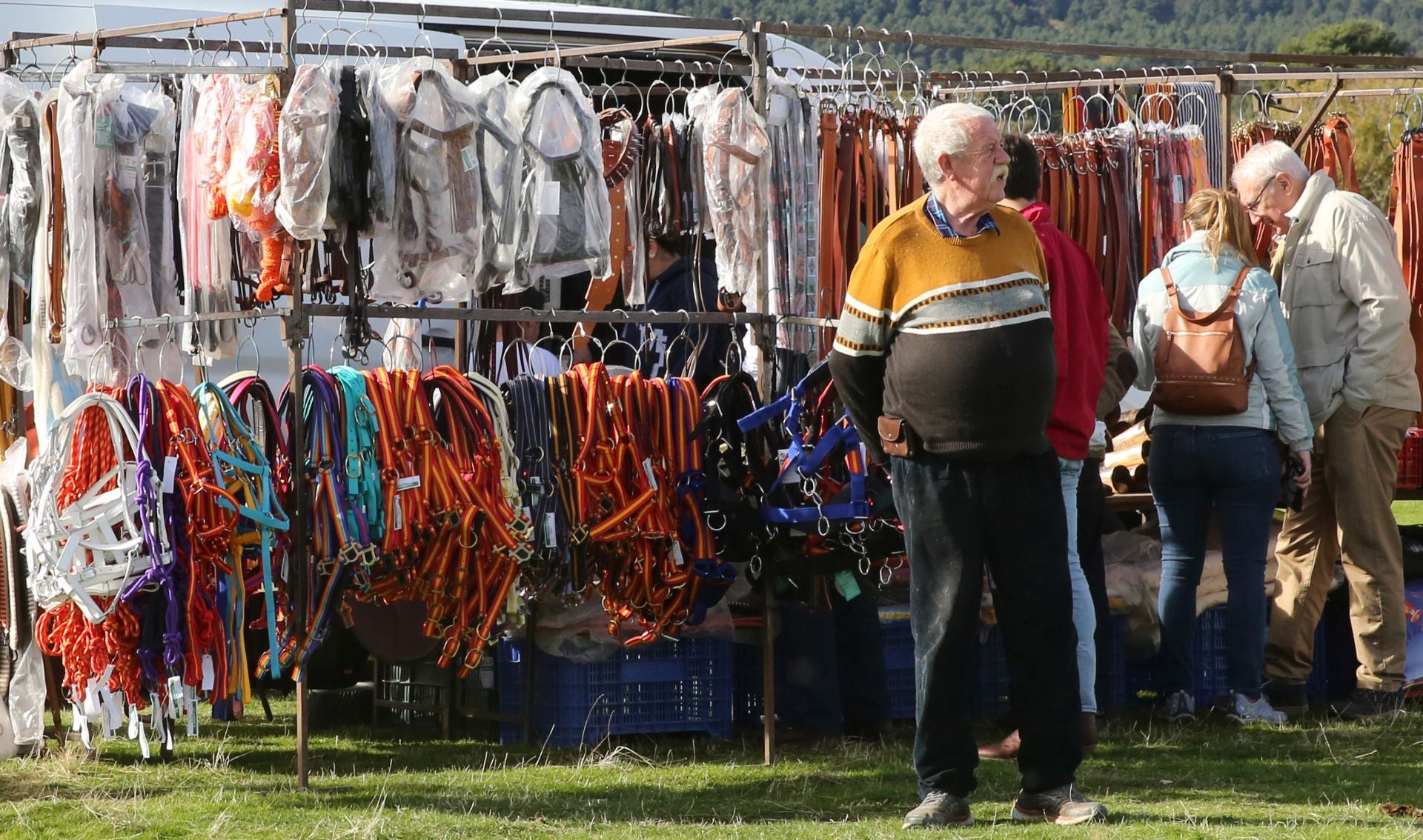 Fotos de la Feria del Ganado de Navafría... sin ganado