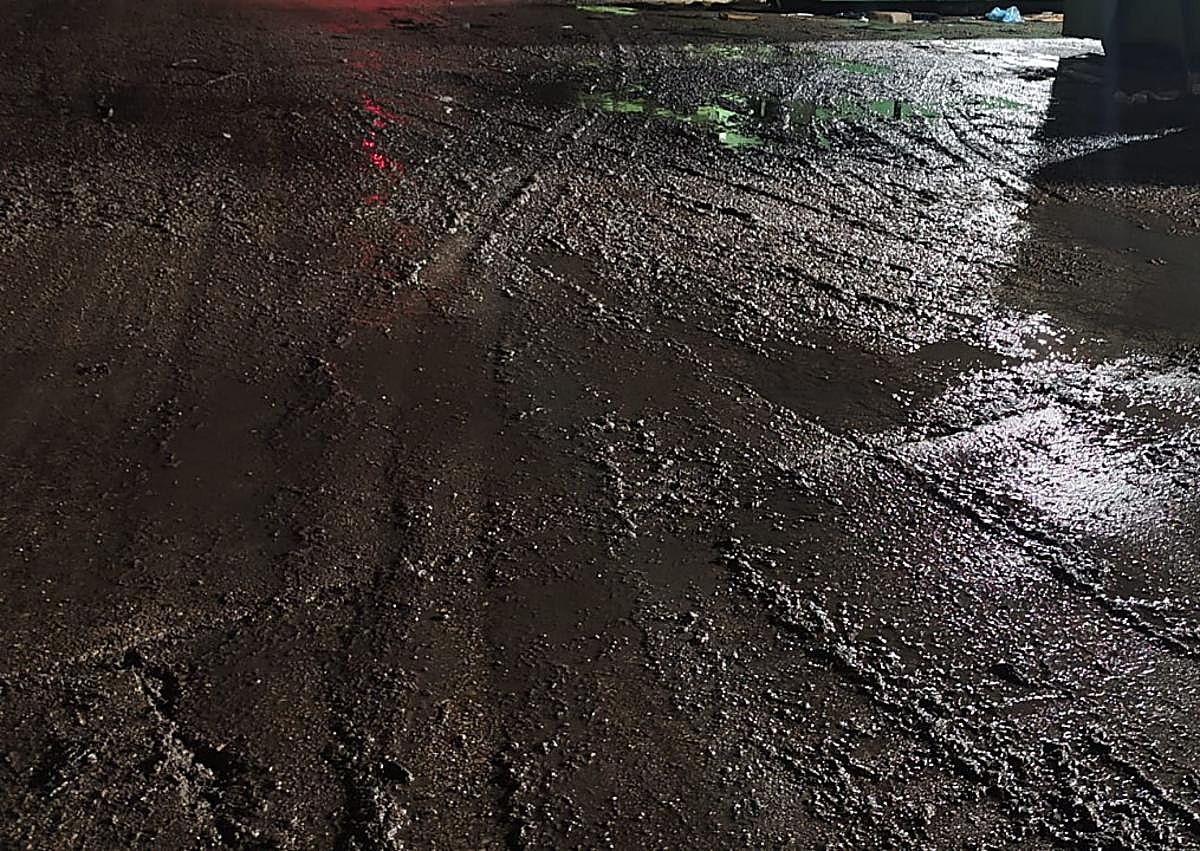 Imagen secundaria 1 - Portón sin cortina de protección, barrizal de palomina y residuos en el suelo junto a una manguera.