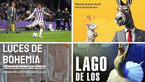 'Luces de bohemia', rugby con la selección, teatro con humor y ballet con 'El lago de los cisnes' este fin de semana
