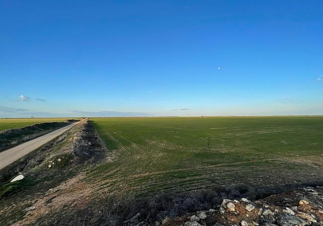 Terrenos del término de Wamba donde se instalarán los parques