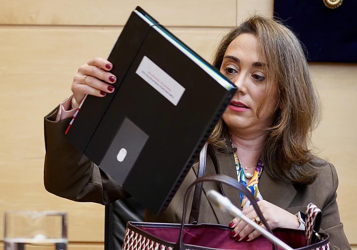 González Corral, en la presentación de las cuentas de su consejería.