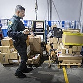 Los perros de la Guardia Civil detectan 200 kilos de picadura de tabaco al año en paquetes