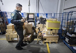 El cabo Jesús, con su perra Sigma, inspecciona los paquetes en Tipsa Valladolid.