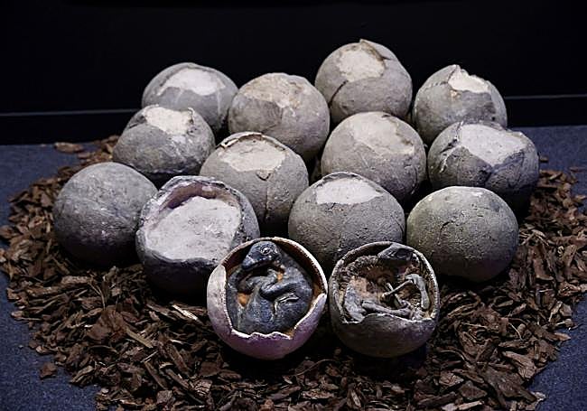 Recreación para la exposición de un nido de huevos de dinosaurio.