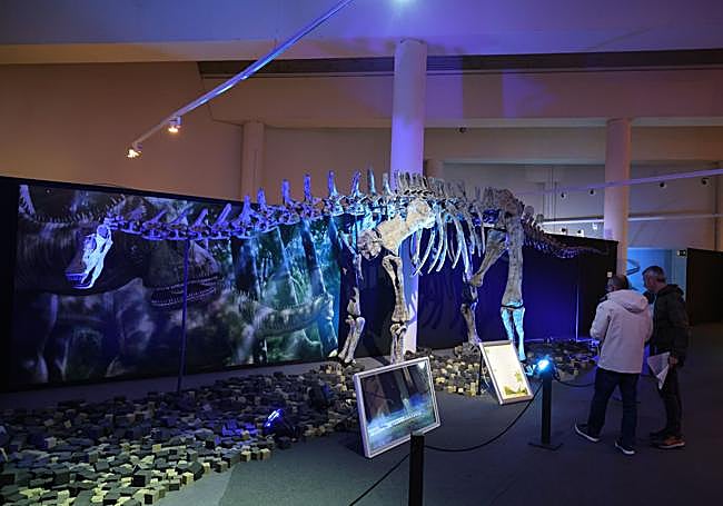 La exposición está compuesta por 21 maquetas a tamaño real de varios tipos de dinosaruios.