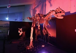 Maquetas del Megaraptos y el Carnotaurus, dos de los dinosaurios que forman parte de la exposición del Museo de la Ciencia.