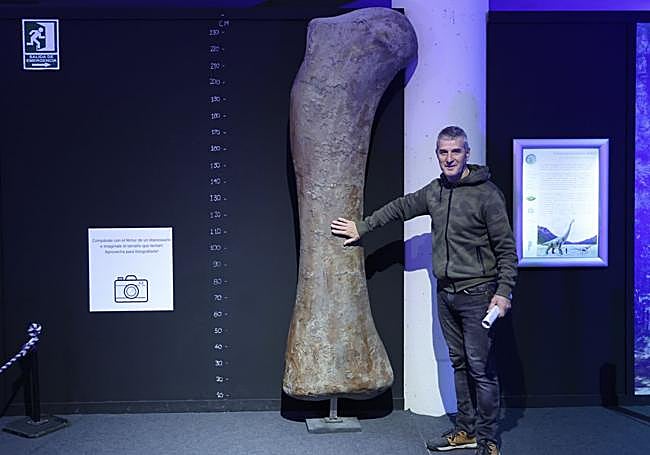 José Antonio García, biólogo del Museo de la Ciencia, junto al fémur de titanosaurio.