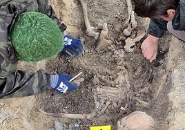 Restos hallados el jueves en Vegas de Matute.