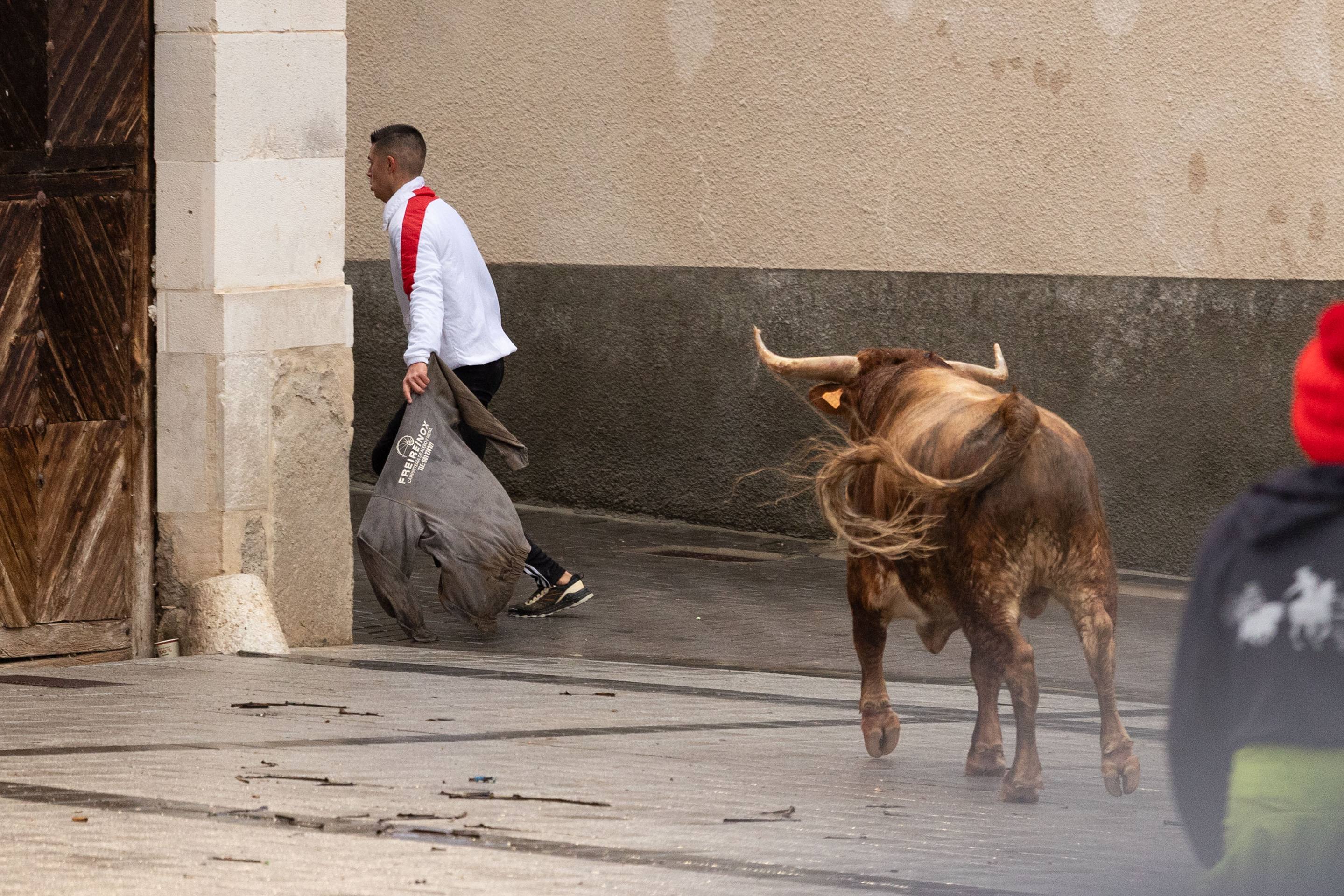 Las imágenes del encierro en Traspinedo